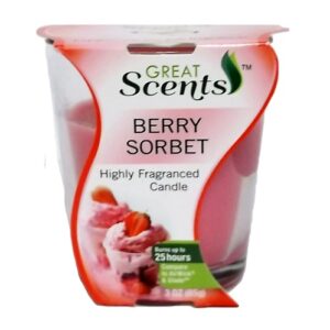 berry-sorbet-candle-3oz12ct-1.jpg