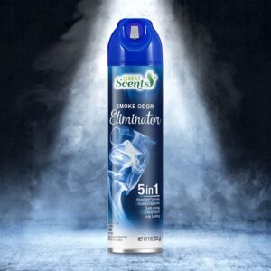 gscnt-smoke-odor-eliminator-air-freshner-9oz-12ct.jpg