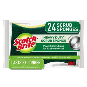 3m-scotch-brite-scrub-24ct.jpg