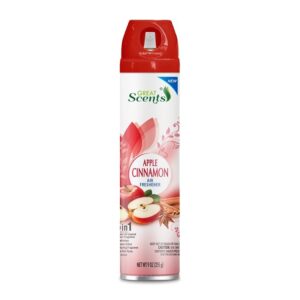 air-freshener-apple-cinnamon-12ct9oz.jpg