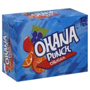 faygo-punch-can-24ct12oz.jpg