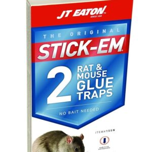 mouse-glue-traps-2pk24ct.jpg