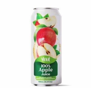 vinut-100-apple-juice-169oz24ct.jpg
