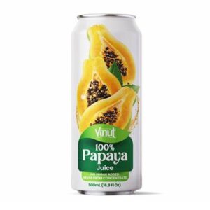vinut-100-papaya-juice-169oz24ct.jpg