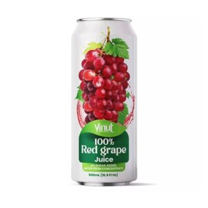 vinut-100-red-grape-juice-169oz24ct.jpg